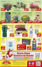Regencape Angebot im aktuellen Zimmermann Prospekt auf Seite 10