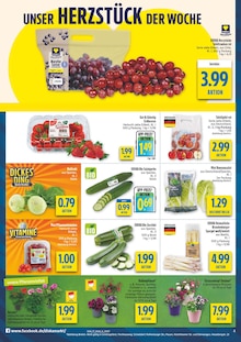 Geranien im diska Prospekt "alles an deinem ort." mit 12 Seiten (Dresden)