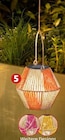 Gartenbeleuchtung im Penny Prospekt Solarlaterne im aktuellen Penny Prospekt für 6,99 €