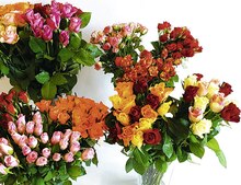 Bouquet de 30 roses - Géant Casino à La Garenne-Colombes Bouquet de 30 roses en promo chez Géant Casino La Garenne-Colombes à 7,00 €
