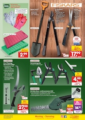 Ähnliche Zitronenbaum Angebote im Prospekt "Aktuelle Angebote" von Netto Marken-Discount in Lingen Ähnliche Angebote wie Zitronenbaum im Prospekt "Aktuelle Angebote" auf Seite 49 von Netto Marken-Discount in Lingen