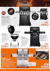 Aktueller Selgros Prospekt mit Gasgrill, "HIER KAUFEN PROFIS & GENIESSER", Seite 21