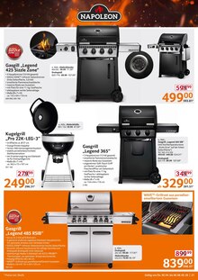 Gasgrill im Selgros Prospekt "HIER KAUFEN PROFIS & GENIESSER" mit 24 Seiten (Würzburg)
