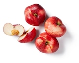 Lidl Roubaix - Promo Nectarine plate Promo Nectarine plate à 1,97 € dans le catalogue Lidl à Roubaix