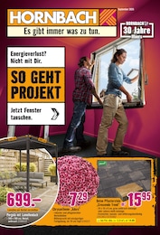 Aktueller Hornbach Prospekt (Moers) Hornbach Prospekt mit 32 Seiten (Moers)
