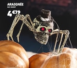Araignée en promo chez Gifi Araignée dans le catalogue Gifi