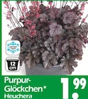 Purpur-Glöckchen Heuchera Angebote bei Wreesmann Bremerhaven für 1,99 €