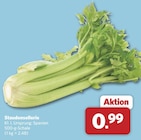 Staudensellerie bei combi im Altenbeken Prospekt für 0,99 €