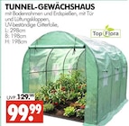 Tunnel-Gewächshaus im Angebot bei Wreesmann in Aurich Tunnel-Gewächshaus Angebote von Top Flora bei Wreesmann Aurich für 99,99 €
