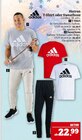 Herren T-Shirt oder Sweathose Angebote von adidas bei Marktkauf Görlitz für 22,99 €