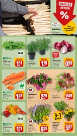 Gewürze im REWE Prospekt in Bornheim Aktueller REWE Prospekt mit Gewürze, "Dein Markt", Seite 11