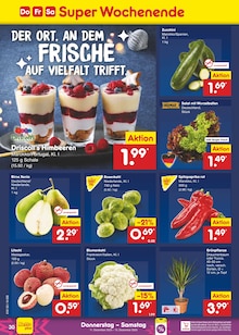 Pflanzen im aktuellen Netto Marken-Discount Prospekt (Krefeld) Pflanzen im Netto Marken-Discount Prospekt "Aktuelle Angebote" mit 61 Seiten (Krefeld)