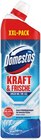 Kraft & Frische WC-Gel Angebote von DOMESTOS bei Kaufland Freiberg für 1,99 €