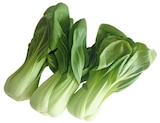 REWE Weißenborn - Pakchoi Angebot im Prospekt Pakchoi bei REWE im Weißenborn Prospekt für 1,19 €