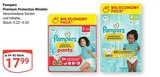 Aktuelle Pampers Angebote bei GLOBUS in Braunschweig Aktuelles Premium Protection Windeln Angebot bei GLOBUS in Braunschweig ab 17,99 €