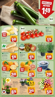 Narzissen im REWE Prospekt "Dein Markt" mit 18 Seiten (Frankfurt (Main))