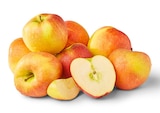 Aktuelles Deutsche rote Äpfel Angebot bei Penny in Bremerhaven ab 1,49 €