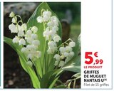Griffes de Muguet Nantais - U en promo chez Super U Béziers à 5,99 €