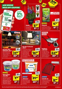 Aktueller Hagebaumarkt Prospekt "SCHNAPP DIR DIE SUPER DEALS" Aktueller Hagebaumarkt Prospekt