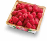 Himbeeren im Netto Marken-Discount Prospekt Himbeeren von Driscoll’s im aktuellen Netto Marken-Discount Prospekt für 2,19 €