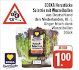 Aktuelles Salatrio mit Wurzelballen Angebot bei EDEKA in Dresden ab 1,00 €