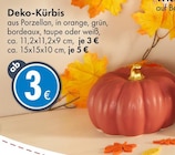 Deko-Kürbis Angebote bei TEDi Neumünster für 3,00 €