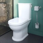 Pack WC à poser sans bride effet Vortex GoodHome Endell - GoodHome - Castorama à Rillieux-la-Pape Pack WC à poser sans bride effet Vortex GoodHome Endell - GoodHome en promo chez Castorama Rillieux-la-Pape à 129,90 €