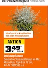 Aktuelle Pflanzen Angebote bei OBI in Wolfsburg Aktuelles Strukturpflanzen Angebot bei OBI in Wolfsburg ab 3,49 €