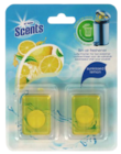 Désodorisant de frigo - SCENTS à 0,98 € dans le catalogue B&M