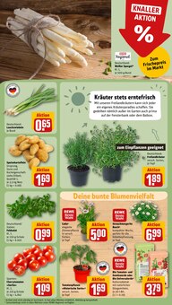 Salat im REWE Prospekt "Dein Markt" mit 28 Seiten (Leipzig)