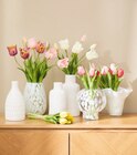 Kunstblumen „Tulpenbund“ oder Vase Angebote von Ambia Home bei XXXLutz Möbelhäuser Moers für 5,99 €