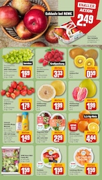 Tierbedarf Angebot im aktuellen REWE Prospekt auf Seite 6