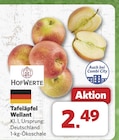combi Halle - Tafeläpfel Wellant Angebot im Prospekt Tafeläpfel Wellant bei combi im Halle Prospekt für 2,49 €