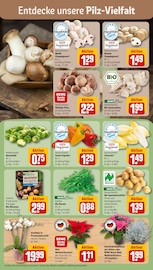 Garten im REWE Prospekt in Kempten Aktueller REWE Prospekt mit Garten, "Dein Markt", Seite 7