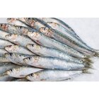 Sardine - CARREFOUR en promo chez Carrefour Vaulx-en-Velin à 3,99 €