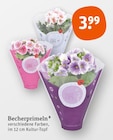 Becherprimeln von  im aktuellen tegut Prospekt für 3,99 €