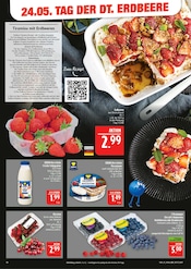 Erdbeeren im Marktkauf Prospekt in Hof Aktueller Marktkauf Prospekt mit Erdbeeren, "AUSWAHL RIESIG, PREISE NIEDRIG", Seite 10