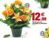 Pot de roses, lys, eucalyptus et mini fleurs - Bazarland à Perpignan Pot de roses, lys, eucalyptus et mini fleurs en promo chez Bazarland Perpignan à 12,99 €