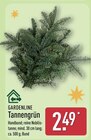Tannengrün von Gardenline für 2,49 € bei ALDI Nord im Angebot Tannengrün von Gardenline im aktuellen ALDI Nord Prospekt