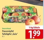 Pausenäpfel Tafeläpfel "Gala" bei famila Nordost im Weyhe Prospekt für 1,99 €