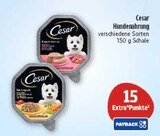 15 Extra°Punkte von Payback bei Marktkauf im Angebot 15 Extra°Punkte von Payback im aktuellen Marktkauf Prospekt