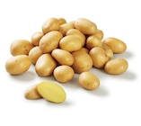 Pomme de terre four en promo chez Lidl Agen à 1,99 €
