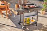 Plancha gaz sur chariot EXB Plus - CAMPINGAZ en promo chez Carrefour Villenave-d'Ornon à 239,90 €