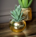 Succulente pot en métal or dans le catalogue B&M