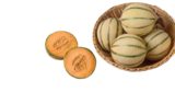 Cantaloupemelone im aktuellen tegut Prospekt für 2,99 €