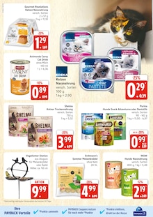 Katzenstreu im aktuellen E center Prospekt (Rostock) Katzenstreu im E center Prospekt "Top Angebote" mit 44 Seiten (Rostock)