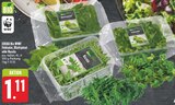 Feldsalat Angebote von EDEKA Bio WWF bei EDEKA Altenburg für 1,11 €