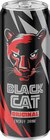 Energy Drink Angebote von Black Cat bei Netto Marken-Discount Dessau-Roßlau für 0,19 €