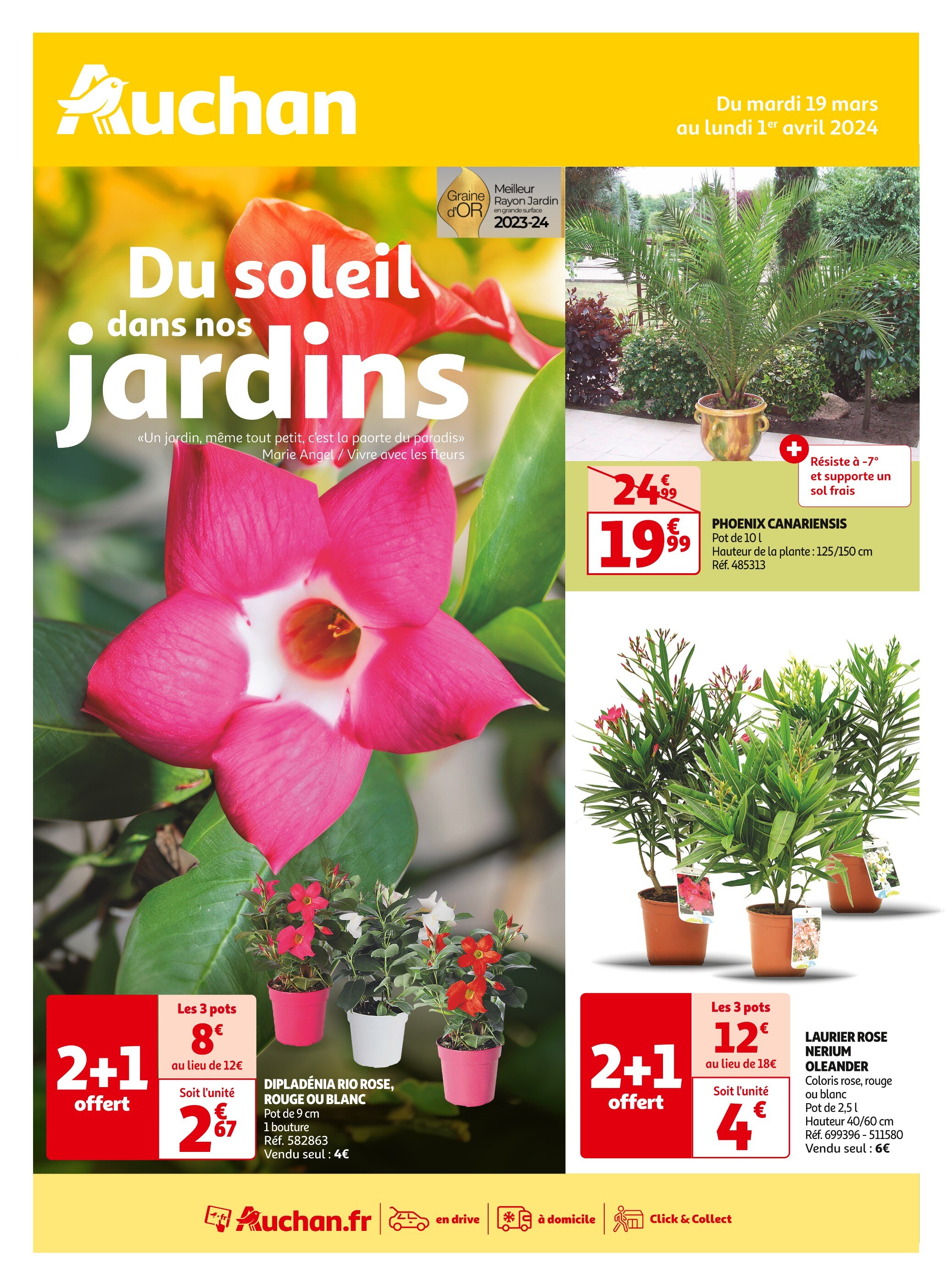 Catalogues Coccinelle Express Poitiers Prix des promos et prospectus