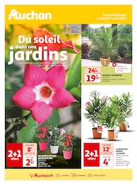 Catalogue Supermarchés Auchan Hypermarché en cours à Sarliac-sur-l'Isle et alentours, Du soleil dans nos jardins, 16 pages, 19/03/2024 - 01/04/2024